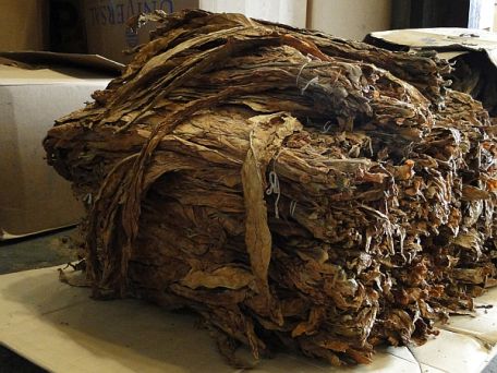 Unmanufactured Leaf Tobacco